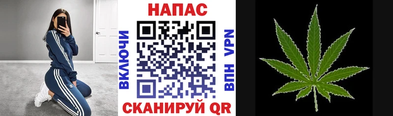 Марихуана конопля  Кыштым 